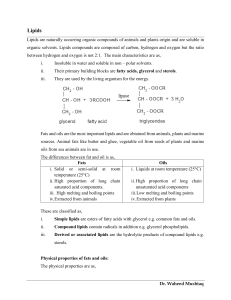 Lipids and Minerals: Properties, Types, and Importance