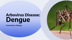 Dengue Fever: Symptoms, Treatment & Prevention