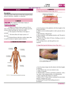 Burn Injuries: Depth, Size, Inhalation, & Management
