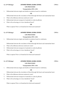 Grade 10 Biology: Transportation Worksheet