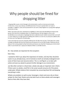 Littering, Whales & Environment: Articles & Story Collection