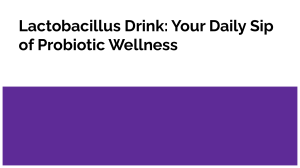 Lactobacillus Drink: Probiotic Benefits for Gut Health