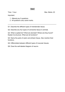 Biology Test: Tissues and Neurons