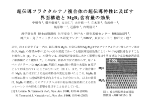 MgB2ナノ複合体：界面と超伝導特性