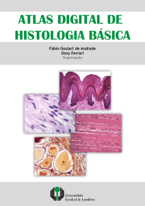 Atlas de Histologia B&aacute;sica: Tecidos e Estruturas