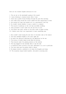 Random English Sentences: Examples & Practice