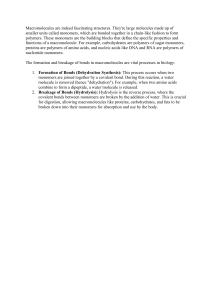 Macromolecules: Structure, Formation & Breakage
