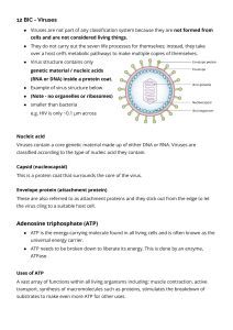 Viruses & ATP: Structure, Function, and Energy
