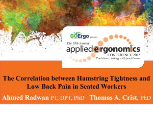 Hamstring Tightness & Low Back Pain in Seated Workers