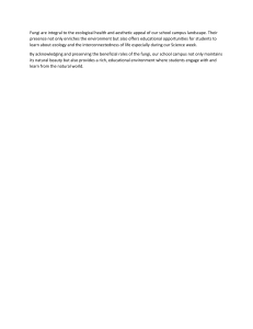 Fungi on School Campus: Ecological Health & Educational Value