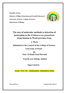 Echinococcus granulosus Genotyping in Wasit, Iraq - Thesis