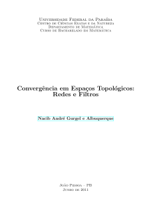Convergencia en Espacios Topol&oacute;gicos: Redes y Filtros