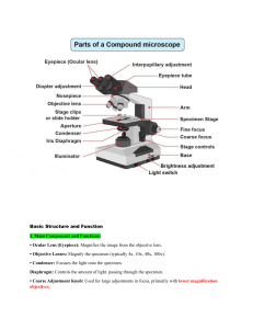 Light Microscope: Structure, Function & Usage Guide