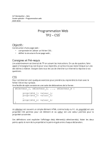 TP CSS : Programmation Web