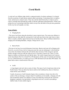 Coral Reefs: Formation, Types, and Importance