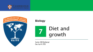 Diet and Growth: Nutrients, Balanced Diet, and Energy