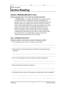 Mendel's Laws & Punnett Squares Worksheet