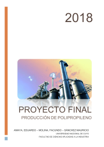 Producci&oacute;n de Polipropileno: An&aacute;lisis de Proyecto Final