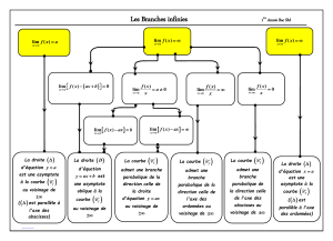 Branches infinies : Organigramme des limites et asymptotes
