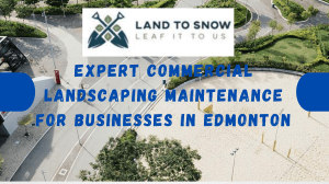 Expert Commercial Landscaping Maintenance for Businesses in Edmonton
