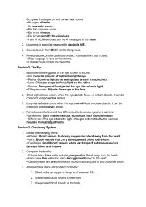 Hearing, Sight & Circulatory System Study Guide