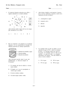 Hoja de Trabajo Difusión y Transporte Activo - Biología