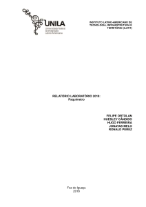 Relat&oacute;rio Laboratorial Paqu&iacute;metro 2018 - UNILA