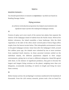 Gal&aacute;pagos Tortoise Conservation: Reading Passage