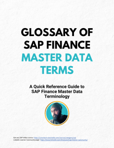 SAP Finance Master Data Glossary: Key Terms & Definitions