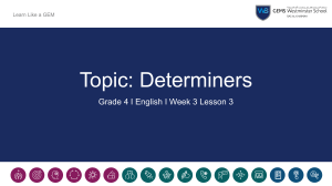 Determiners: Grade 4 English Lesson Plan