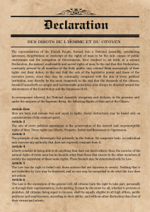 Declaration of the Rights of Man and Citizen