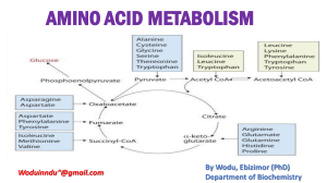 Amino Acid Metabolism: Biochemistry Presentation