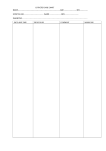 Catheter Care Chart Template