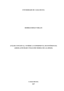 An&aacute;lise de Aeroelasticidade: Modelo de Asa R&iacute;gida - Tese