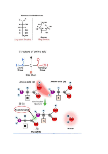 Monosaccharide & Amino Acid Structure Diagram