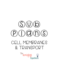 Cell Membrane & Transport Worksheet - High School Biology