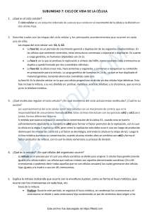 Hoja de Trabajo: Ciclo Celular, Mitosis y Meiosis