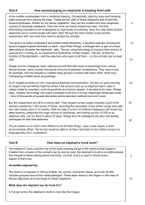 Elephant Conservation & Trunk Function: Exam Paper