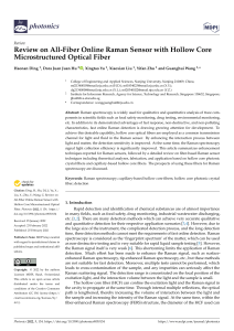 All-Fiber Online Raman Sensor Review: Hollow Core Fibers