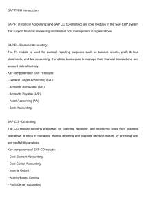 SAP FI/CO Introduction: Financial Accounting & Controlling
