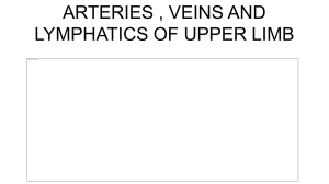 Upper Limb Arteries, Veins & Lymphatics Anatomy