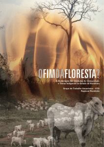 Desmatamento em &Aacute;reas Protegidas e Terras Ind&iacute;genas de Rond&ocirc;nia