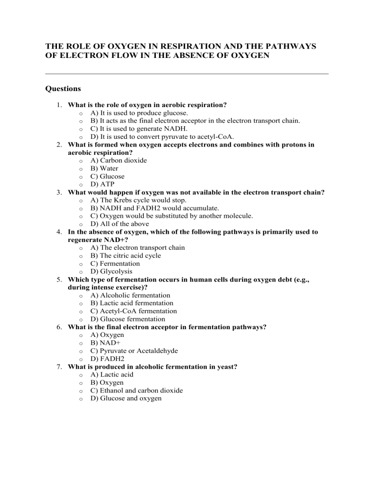 Oxygen's Role in Respiration Worksheet