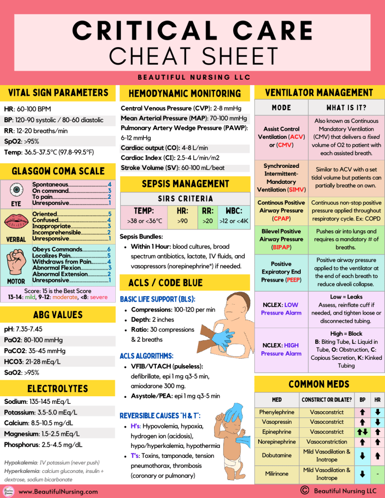 Critical Care Nursing Cheat Sheet | Vital Signs & Meds