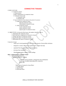 Connective Tissues: Lecture Notes & Outline