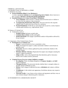 Criminal Law Outline: Definitions, Punishment, and Interpretation