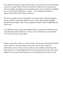Timmy's Country Trip: An Ice Cream Adventure