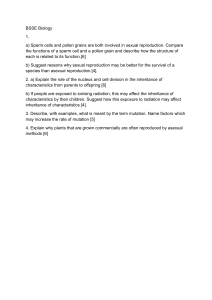 Biology Exam Questions: Reproduction, Inheritance, Mutation