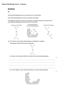A-Level Biology: Enzyme Exam Questions (Edexcel B)