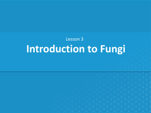 Introduction to Fungi: Characteristics, Nutrition, Reproduction